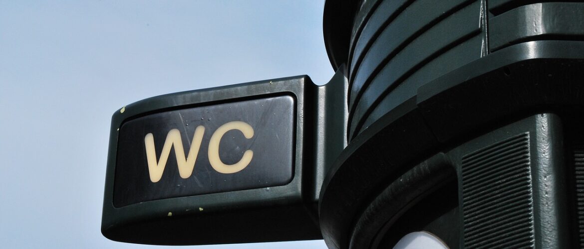 Installer un WC sans évacuation : Simplifiez votre projet maison